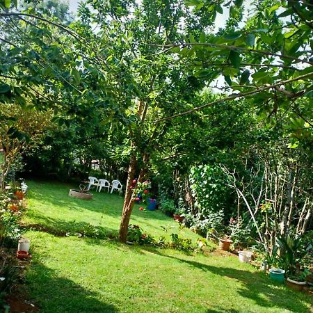 Pear Tree Inn Villa 코타지리 외부 사진