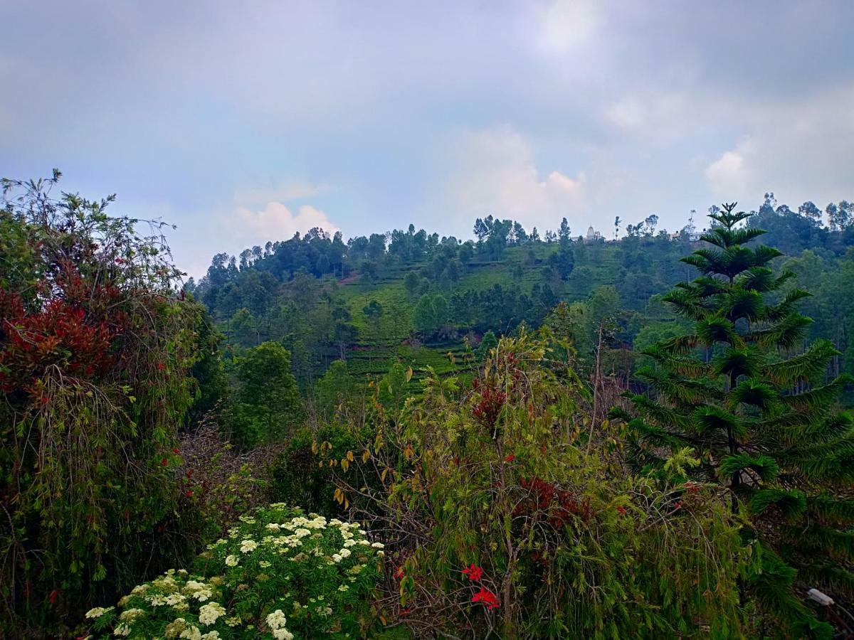Pear Tree Inn Villa 코타지리 외부 사진