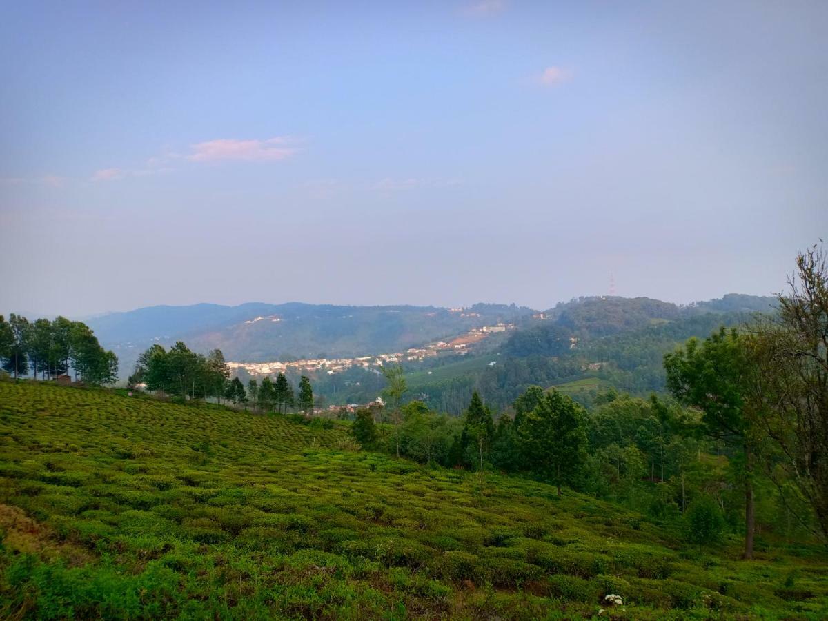Pear Tree Inn Villa 코타지리 외부 사진